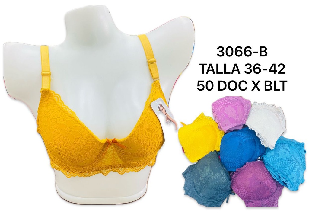 BRASSIER 3066B