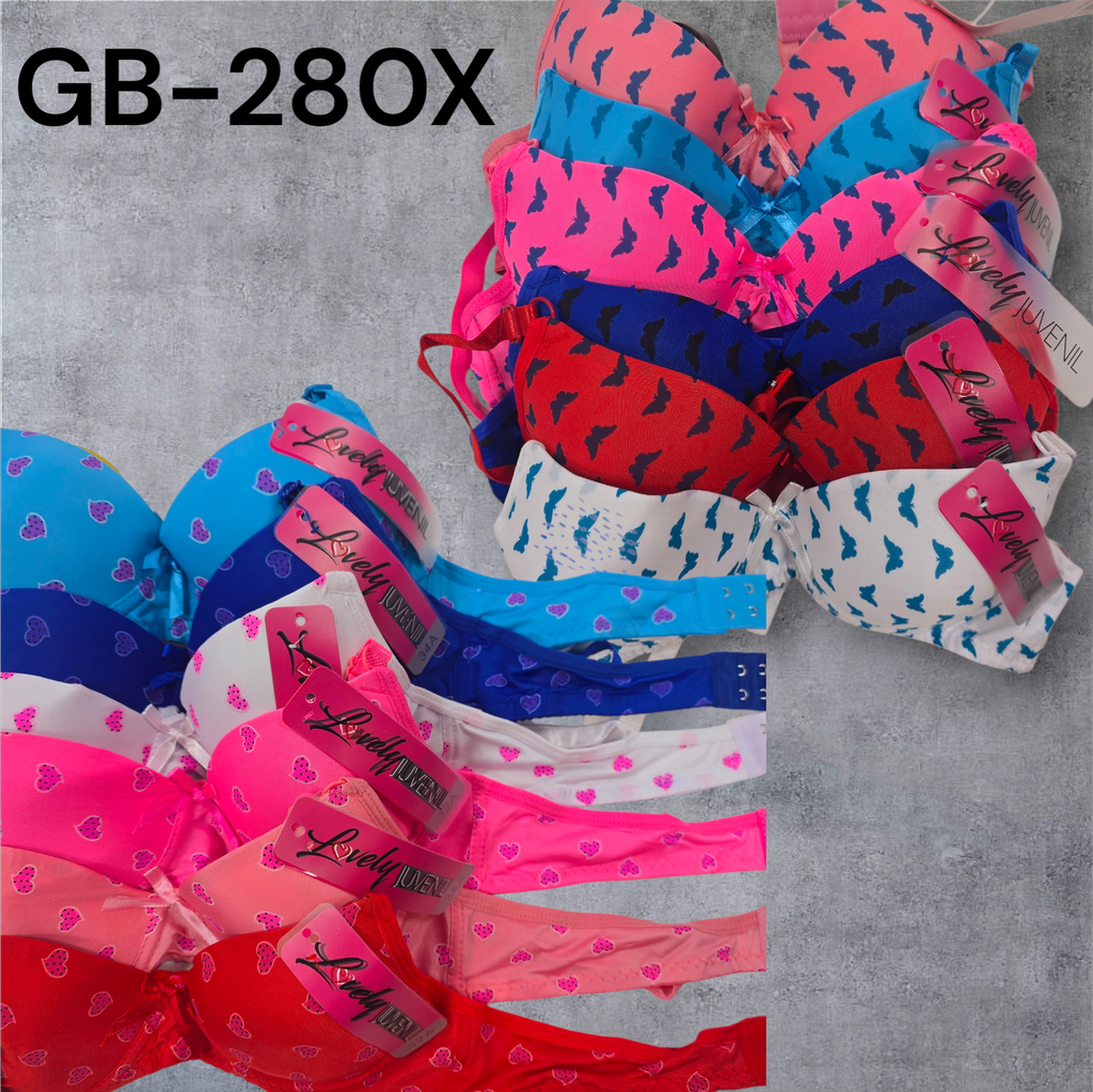 [GB-280X] BRASIER NIÑA 280X